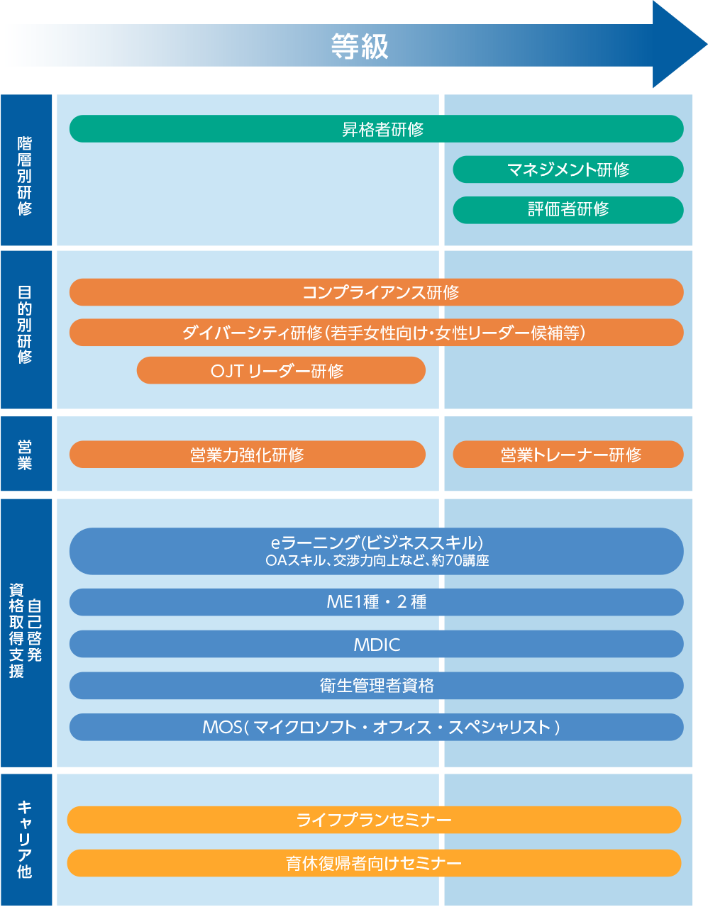 教育・研修概要